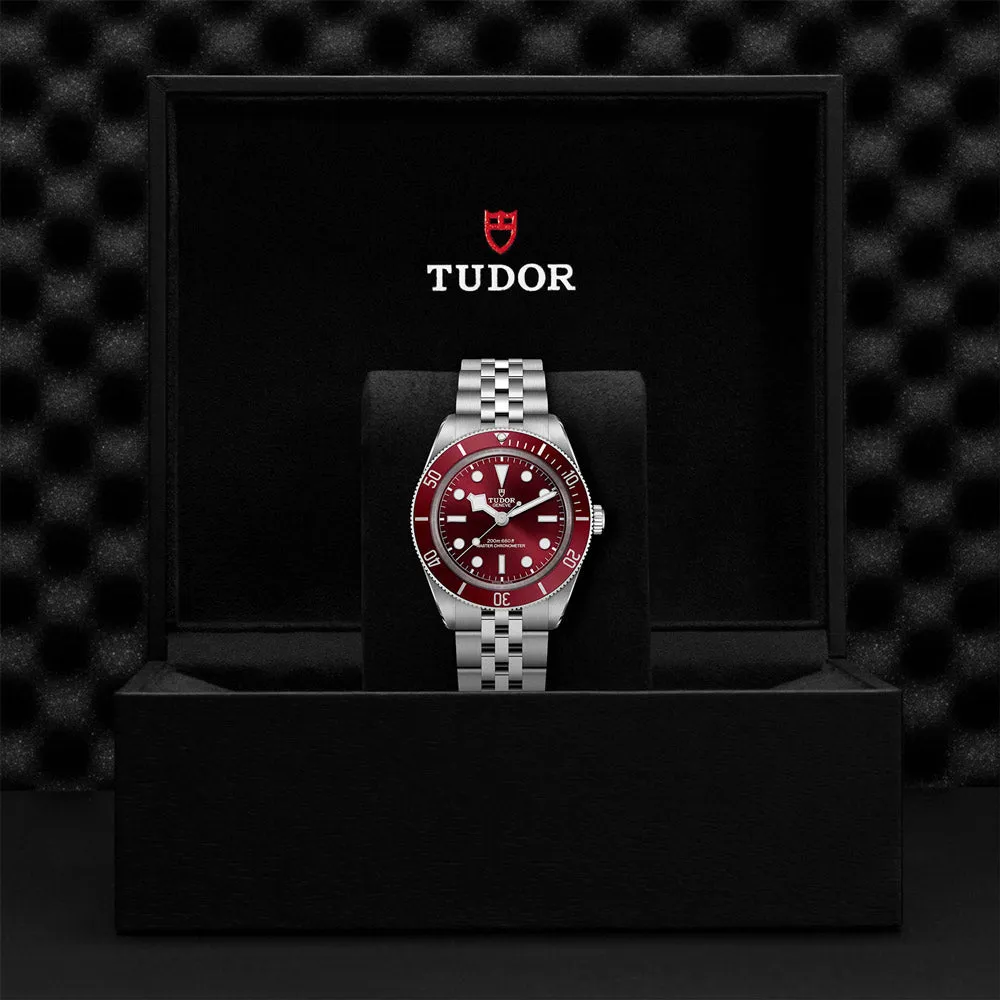 TUDOR Black Bay 58 39mm Burgundy Dial Watch M7939A1A0RU-0001