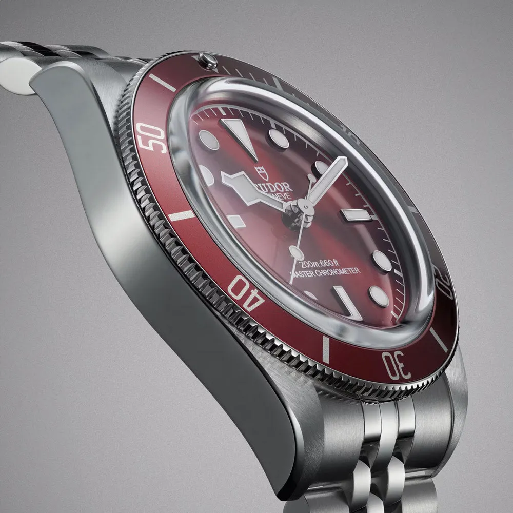 TUDOR Black Bay 58 39mm Burgundy Dial Watch M7939A1A0RU-0001