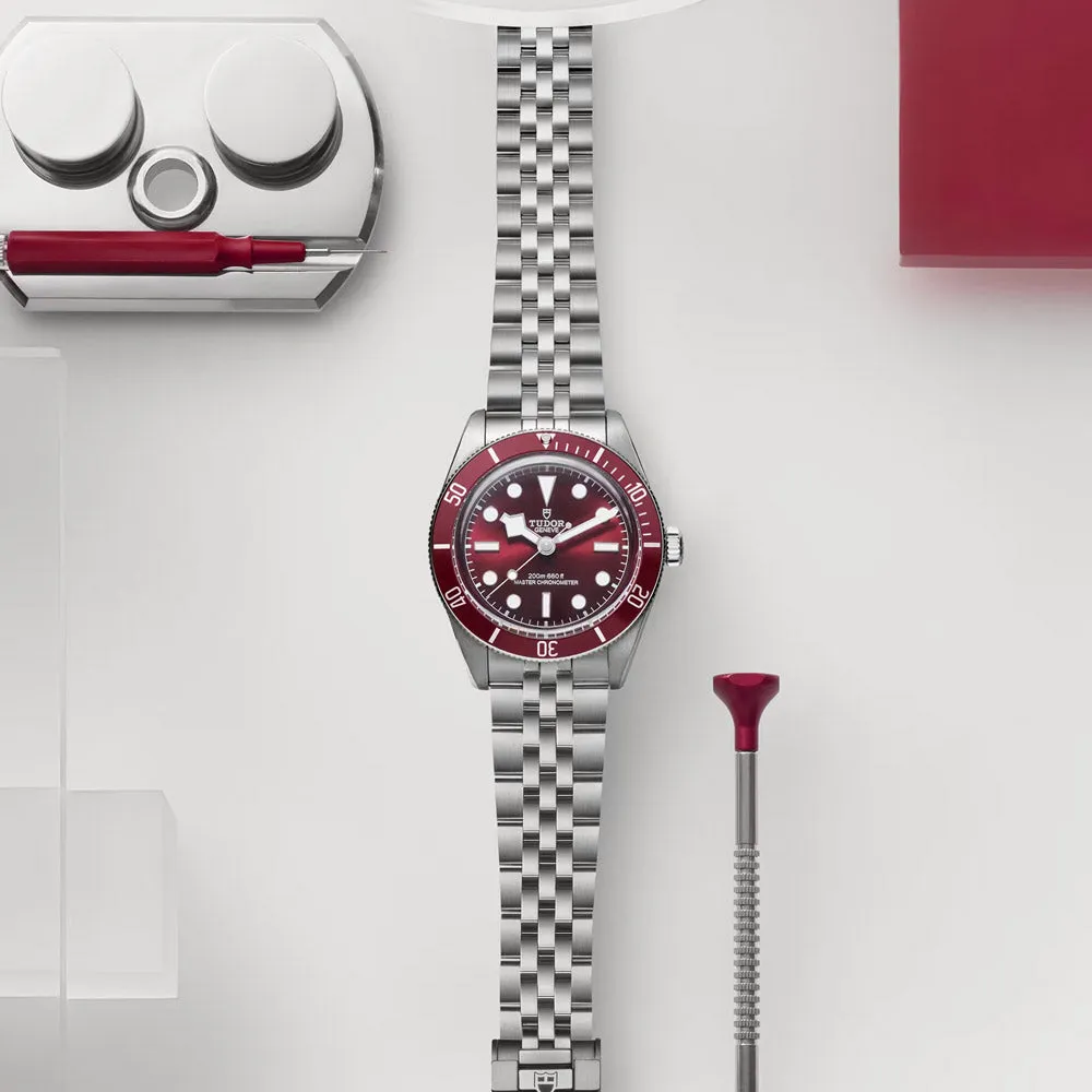 TUDOR Black Bay 58 39mm Burgundy Dial Watch M7939A1A0RU-0001