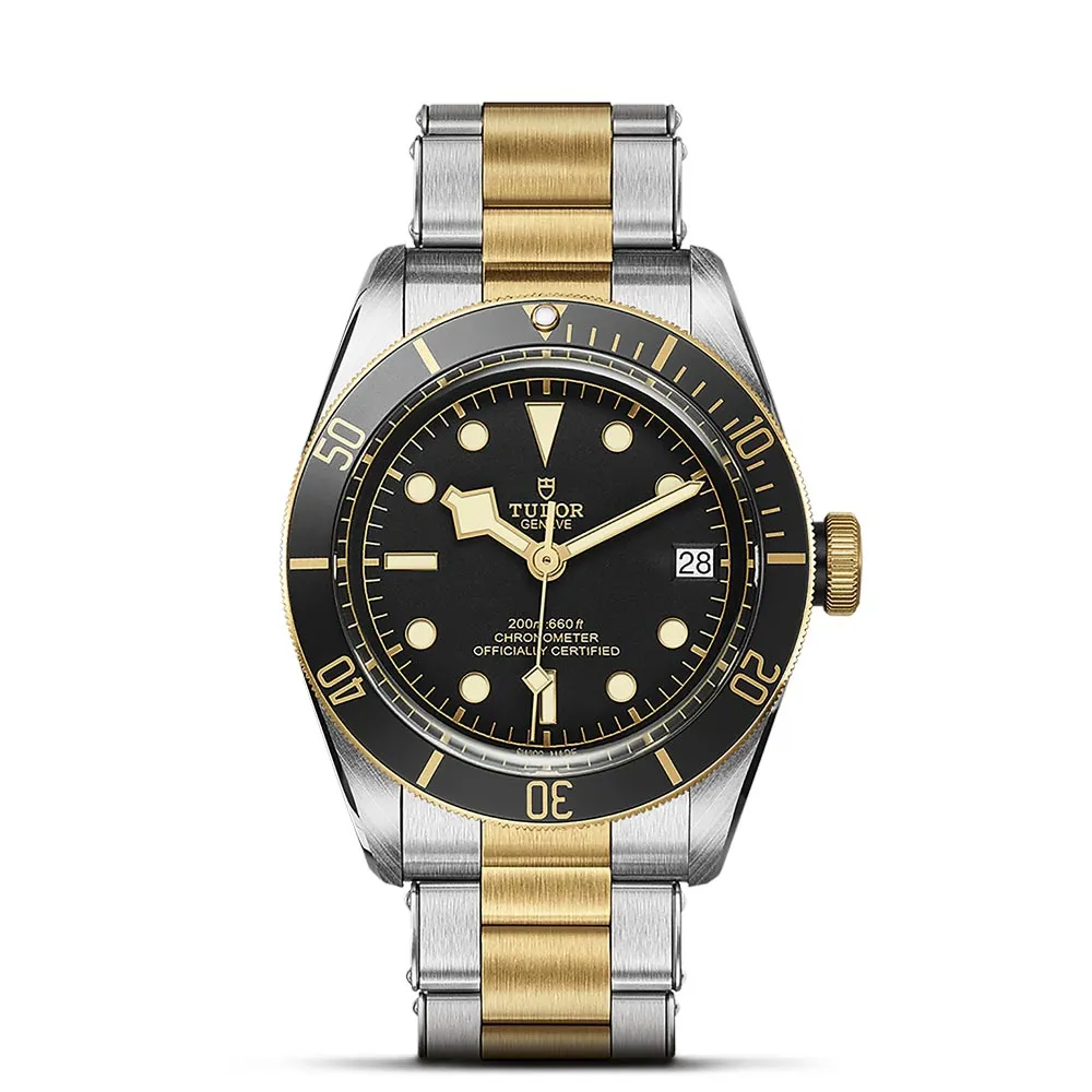 TUDOR Black Bay S&G 41mm Black Dial Steel & Gold Gents Watch M79733N-0008