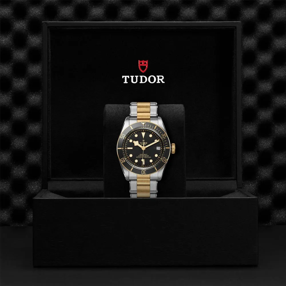 TUDOR Black Bay S&G 41mm Black Dial Steel & Gold Gents Watch M79733N-0008