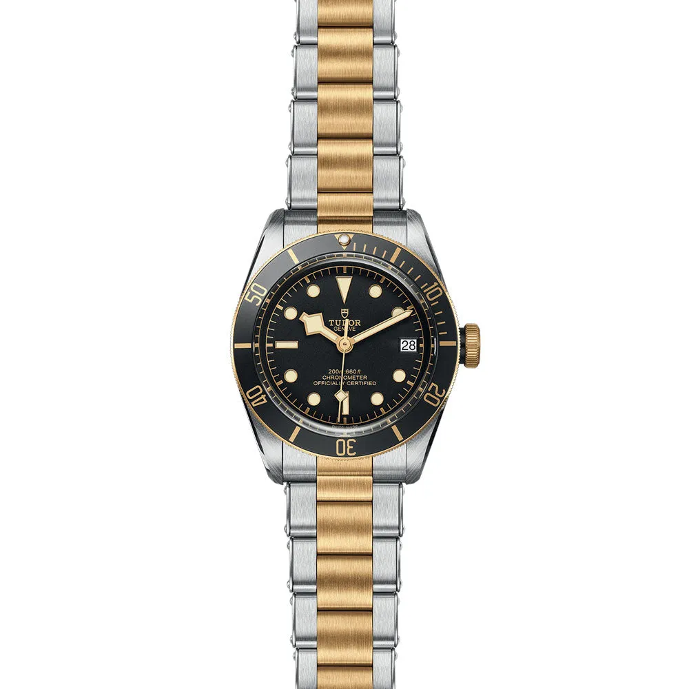TUDOR Black Bay S&G 41mm Black Dial Steel & Gold Gents Watch M79733N-0008