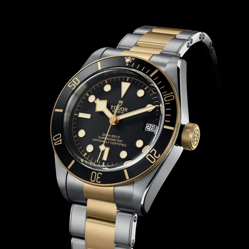 TUDOR Black Bay S&G 41mm Black Dial Steel & Gold Gents Watch M79733N-0008