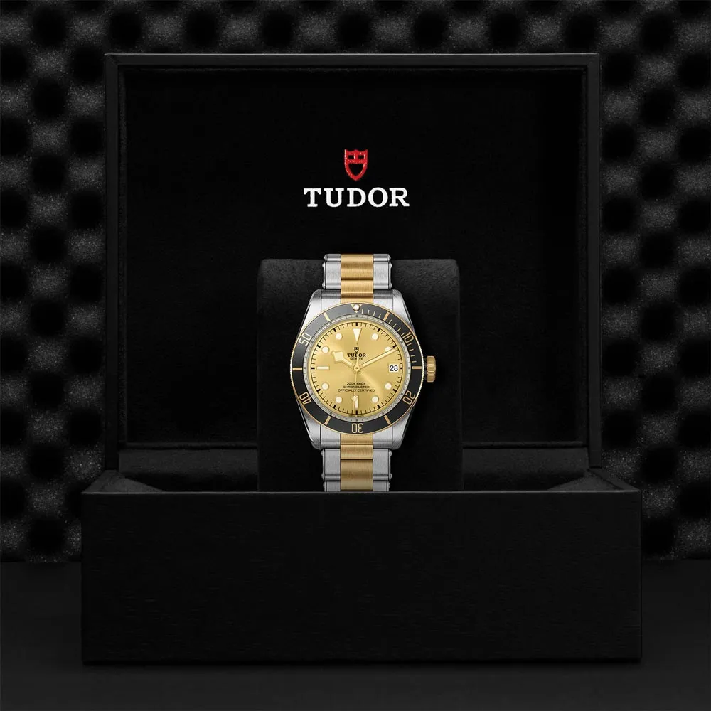 TUDOR Black Bay S&G 41mm Steel & Gold Gents Watch M79733N-0004