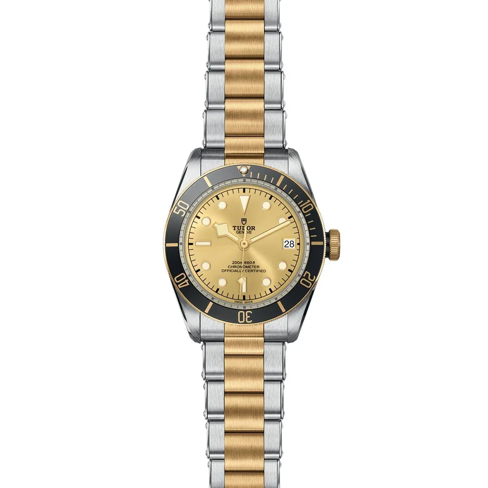 TUDOR Black Bay S&G 41mm Steel & Gold Gents Watch M79733N-0004