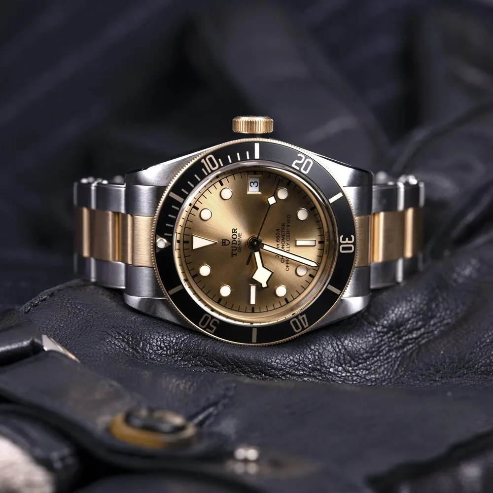TUDOR Black Bay S&G 41mm Steel & Gold Gents Watch M79733N-0004