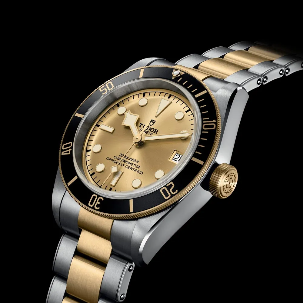 TUDOR Black Bay S&G 41mm Steel & Gold Gents Watch M79733N-0004